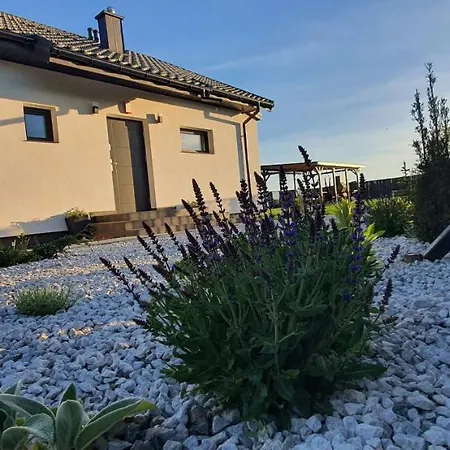 Czarne Nad Bialym Villa Gostynin Exterior photo
