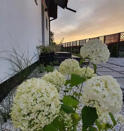 Czarne Nad Bialym Villa Gostynin Exterior photo
